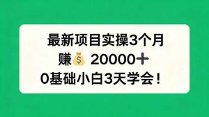 最新项目实操3个月,赚钱20000+,0基础小白3天学会!-KJ分享