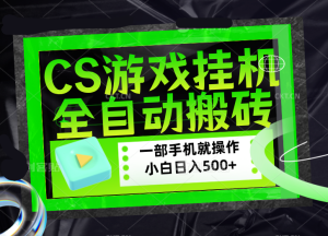 CSGO游戏挂机捡漏搬砖，超稳定的项目，带领1000+小白实现日入500+，数据可视频验证-KJ分享