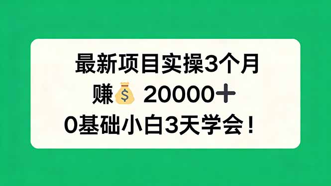 最新项目实操3个月，赚钱20000+，0基础小白3天学会！-KJ分享