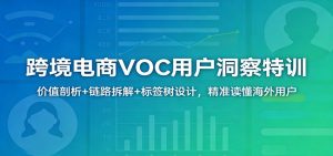 跨境电商VOC用户洞察特训:价值剖析+链路拆解+标签树设计,精准读懂海外用户-KJ分享