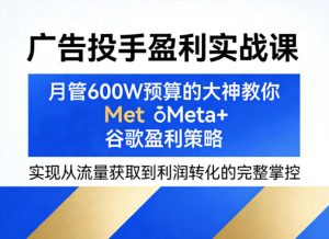 广告投手盈利实战课，月管600W预算的大神教你Meta+谷歌盈利策略，实现从流量获取到利润转化的完整掌控-KJ分享