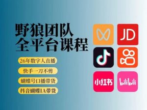 野狼团队2026新版全平台短视频带货教学，打开流量突破口，开始Ai带货(更新26年4月25日)-KJ分享