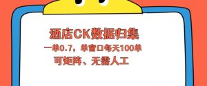 上班也能玩的酒店CK数据归集，一单0.7单窗口每天可做100单，一个人就能矩阵操作【揭秘】-KJ分享