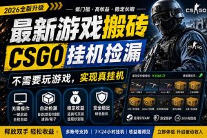 最新游戏搬砖，CSGO纯挂机，不需要玩游戏，实现真挂机，月入1W+，五一小高峰上车可吃肉，…-KJ分享
