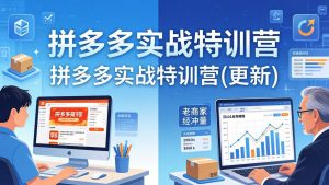 拼多多实战特训营(更新4月-KJ分享