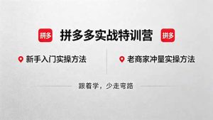 拼多多实战特训营(更新5月3-KJ分享