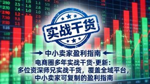 电商圈多年实战干货-更新5月10:多位资深师兄实战干货/覆盖全域平台,中小卖家可复制的盈利指南-KJ分享