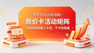 拼多多实战课58期:原价卡活动矩阵,300链接批量上大促,不亏钱跑量-KJ分享