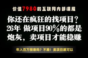 26年请不要疯狂的找项目了，卖项目远比你想象的暴利，你也可以月入10W+【揭秘】-KJ分享