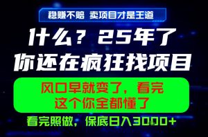 26年,请不要疯狂的找项目做了!卖项目才是真的稳賺不赔,看完照做,保底日入1k+【揭秘】-KJ分享