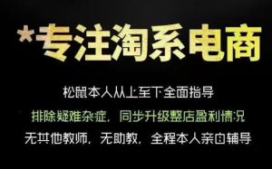 松鼠会电商VIP课程，从基础布局到高阶优化，助你掌握淘宝运营逻辑，提升店铺流量与转化-KJ分享