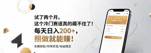 试了两个月,这个冷门赛道真的藏不住了!每天日入200+,照做就能赚!-KJ分享