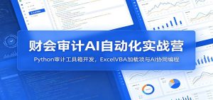 财会审计AI自动化实战营：Python审计工具箱开发，ExcelVBA加载项与AI协同编程-KJ分享