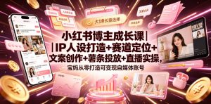 小红书博主成长课|IP人设打造+赛道定位+文案创作+薯条投放+直播实操,宝妈从零打造可变现自媒体账号-KJ分享